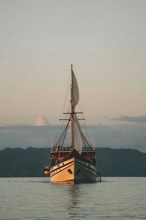 UPWIND SOLUTIONS