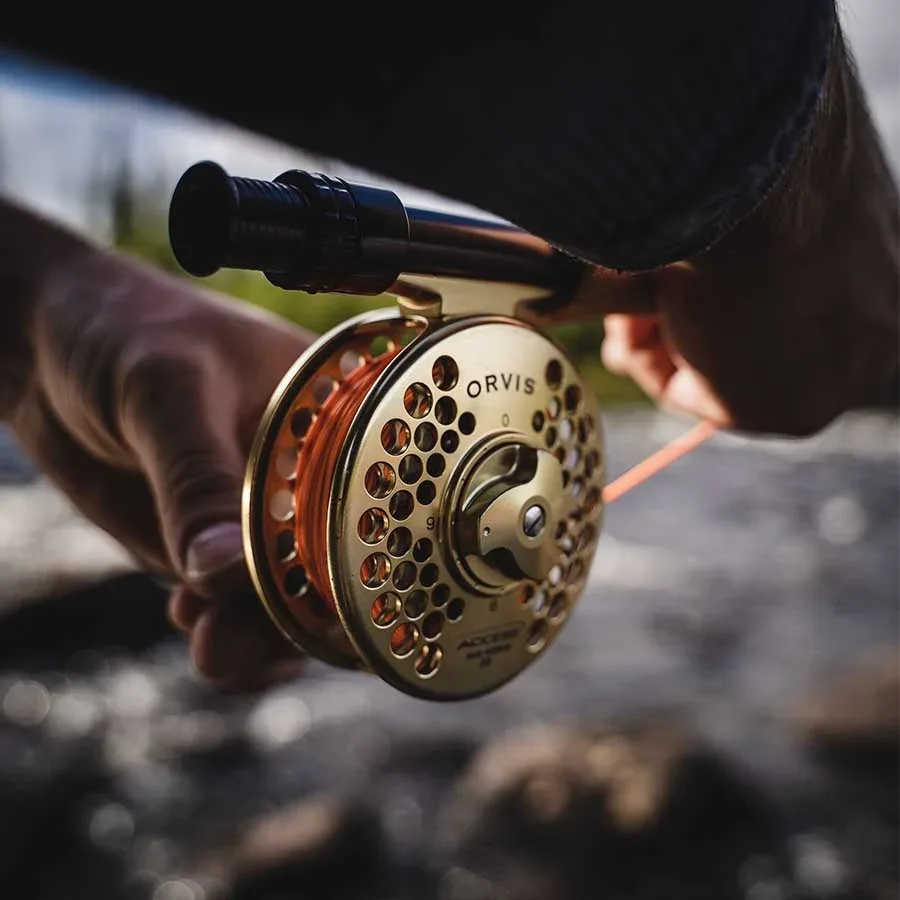 WILDFISH